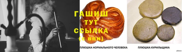 дмт Корсаков