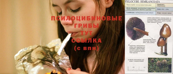 дмт Корсаков